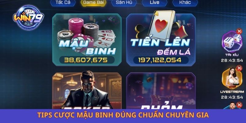 Tips cược mậu binh đúng chuẩn chuyên gia