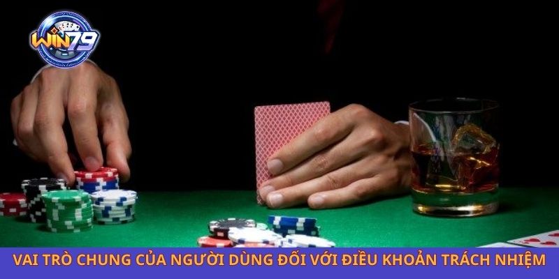 Vai trò chung của người dùng đối với điều khoản trách nhiệm